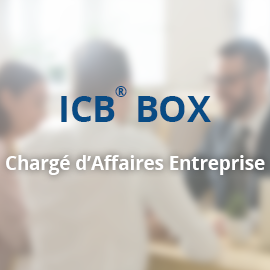 ICB® BOX – Chargé d’Affaires Entreprise