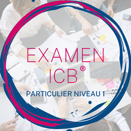 EXAMEN ICB PARTICULIERS NIVEAU 1